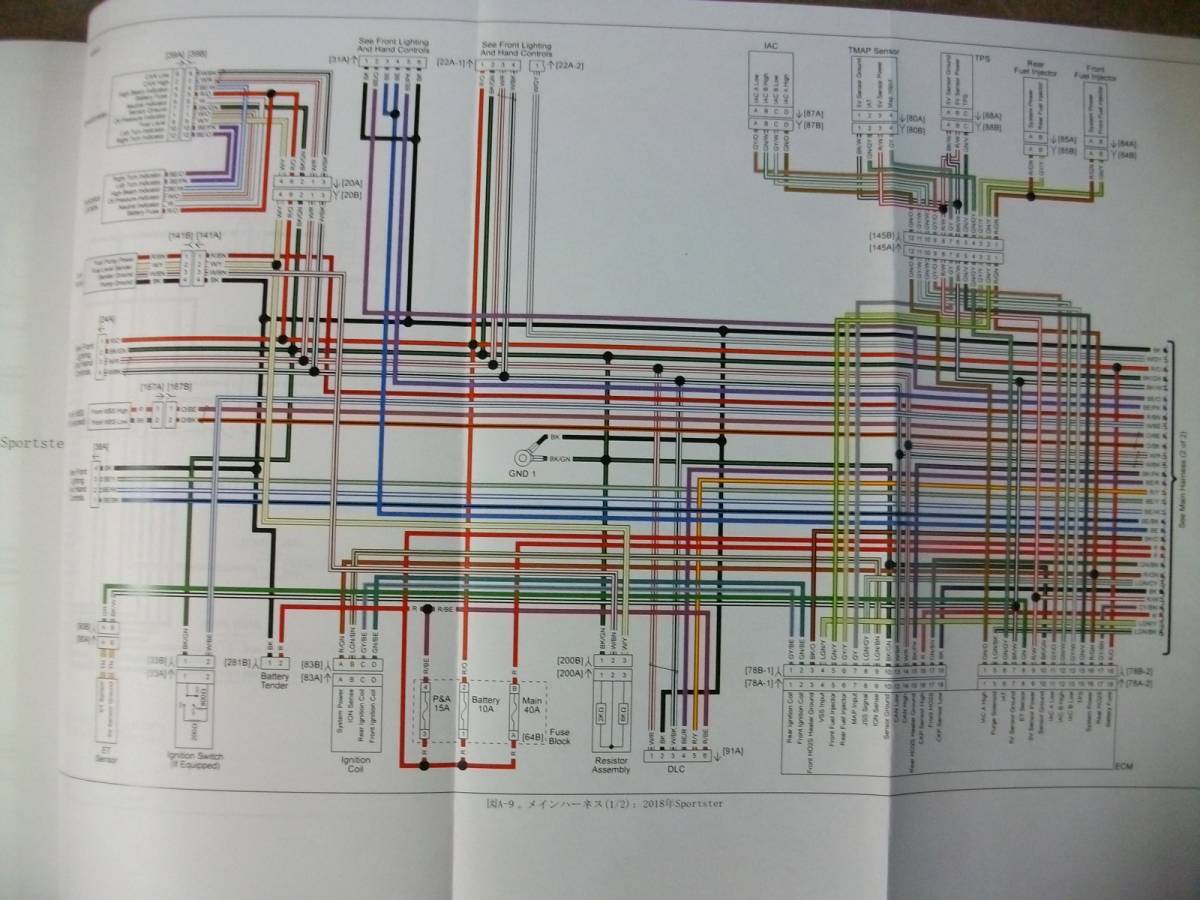 ２０１８年　日本語版　スポーツスター　サービスマニュアル_配線図も綺麗で良く見えます。 