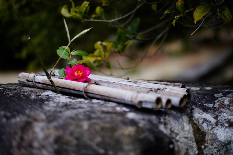 銘匠光学 TTArtisan 50mm f/1.2 C (Lマウント APS-C) シルバー 中望遠