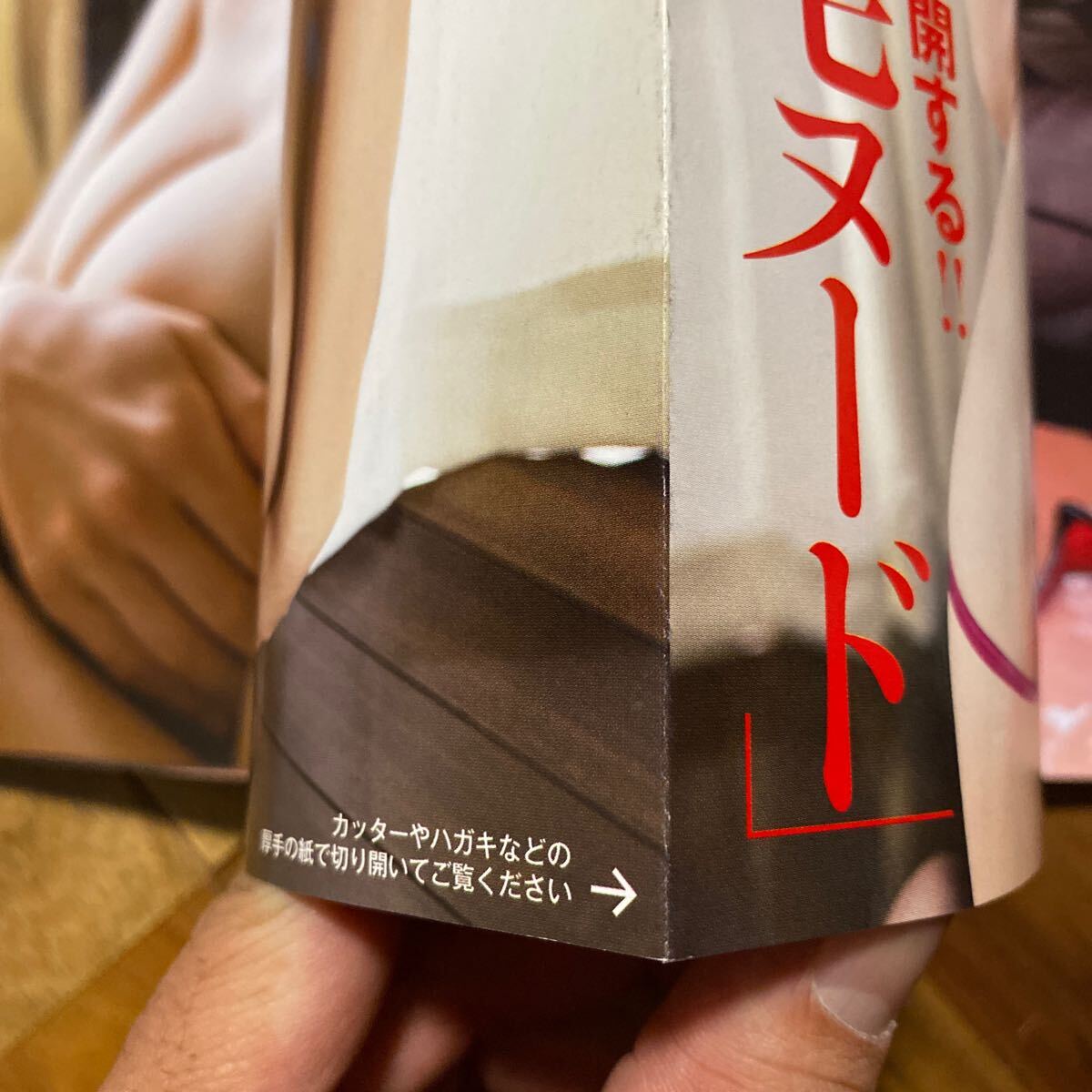 FRIDAY 平成29年6月9日号　袋とじ未開封　フライデー 角丸まり有　管理番号A1350_画像4