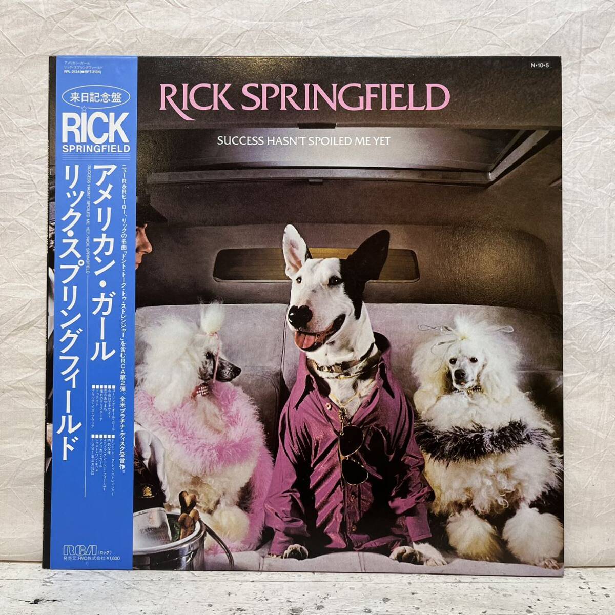 LP 帯付き リック・スプリングフィールド Rick Springfield アメリカン・ガール Success Hasn’t Spoiled Me Yet RPL-2134 _画像1