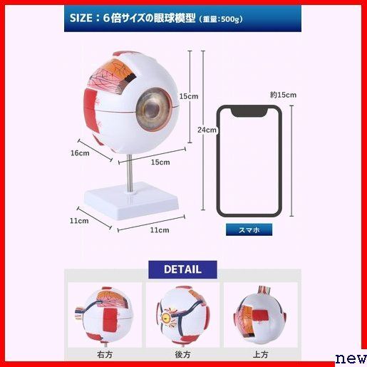 新品◆ KIYOMARU 3Dモデル 立体モデル 人体解剖 人体模型 パカっと開けて分解できる6倍サイズの眼球模型 295_画像7