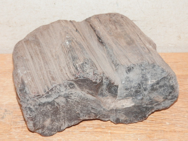 珪化木 重量1.59kg 黒系(検索 木化石埋もれ木石炭亜炭_画像4