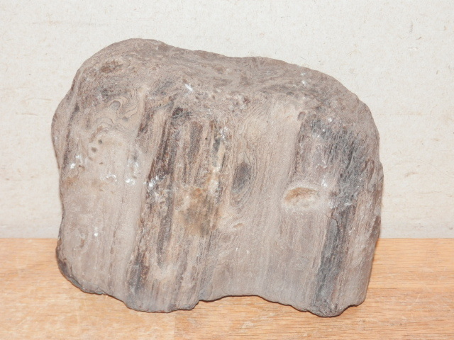 珪化木 重量1.59kg 黒系(検索 木化石埋もれ木石炭亜炭_画像5