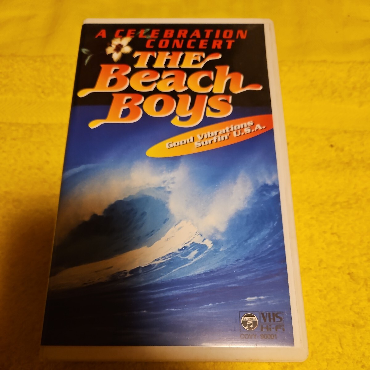 【送料込】VHSビデオ ザ・ビーチ・ボーイズ イン・コンサート The Beach Boys_画像1