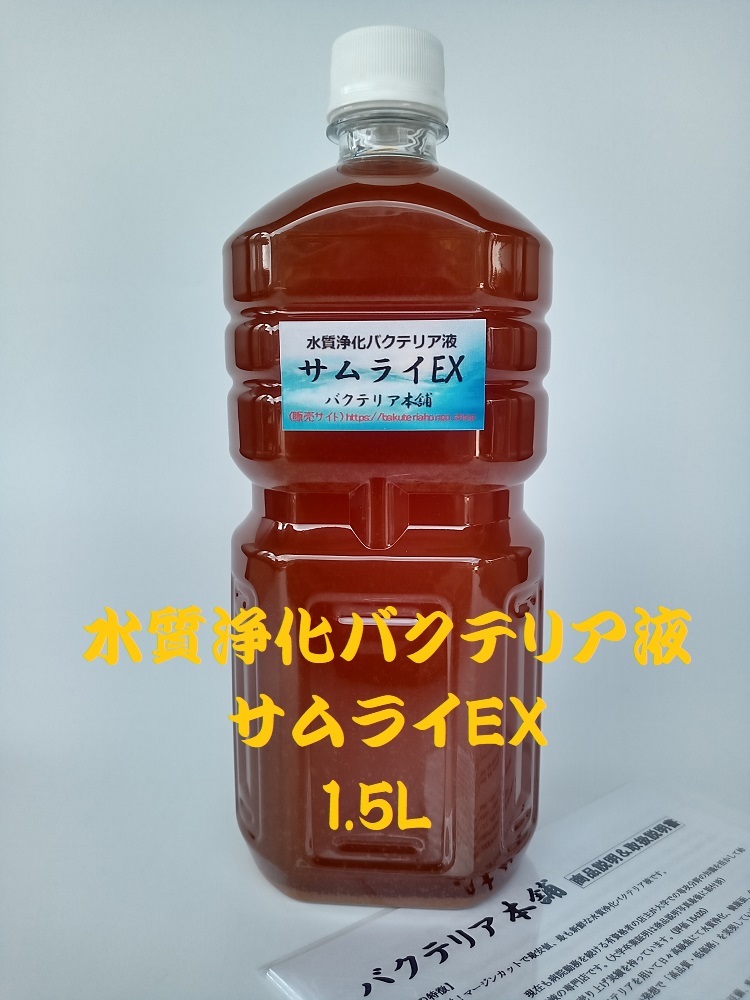 【バクテリア本舗 本店】サムライEX [1.5L]高濃度水質浄化バクテリア液(らんちゅう,めだか,グッピー,金魚,錦鯉,シュリンプ,熱帯魚,海水魚）の画像1