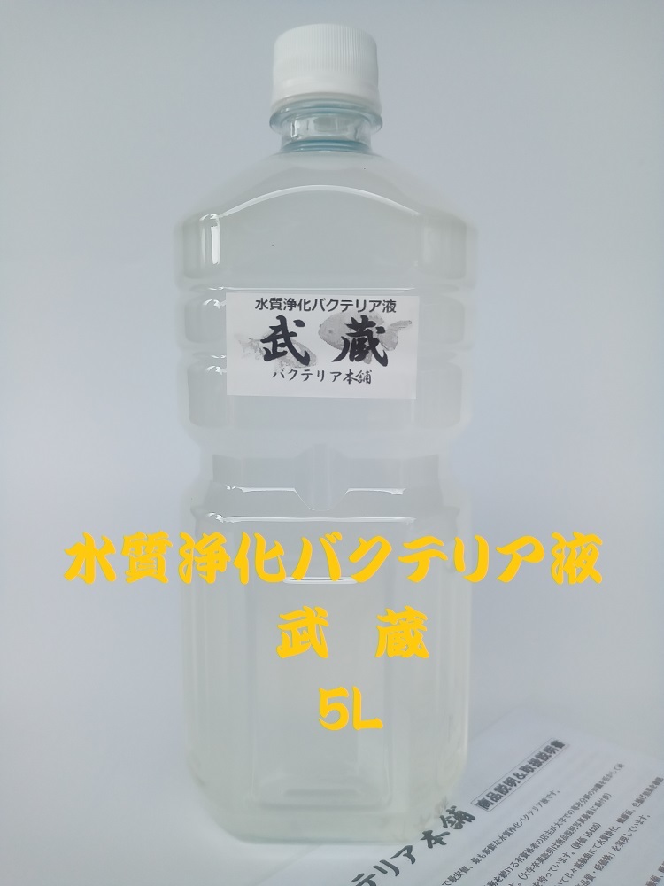 【バクテリア本舗 本店】武蔵 [5L]高濃度水質浄化バクテリア液(らんちゅう,めだか,グッピー,金魚,錦鯉,シュリンプ,熱帯魚,海水魚）_画像1