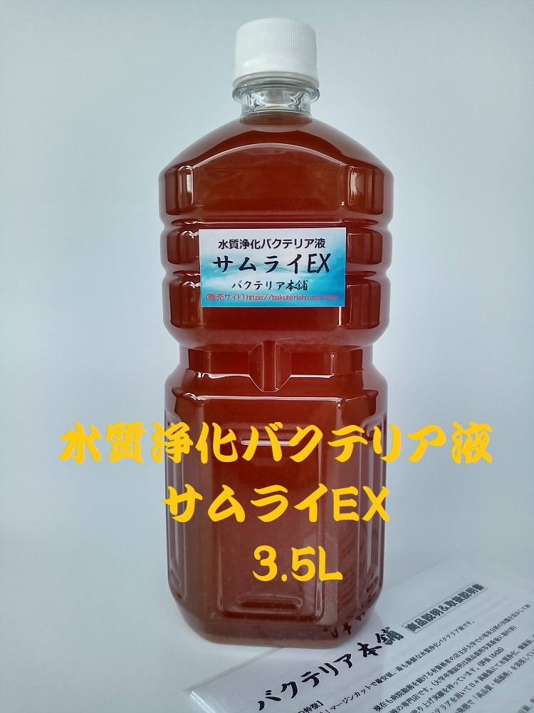 【バクテリア本舗 製造元】サムライEX [3.5L]高濃度水質浄化バクテリア液(らんちゅう,めだか,グッピー,金魚,錦鯉,シュリンプ,海水魚）の画像1