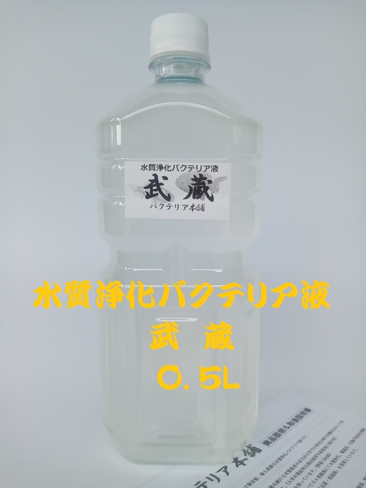 【バクテリア本舗 本店】武蔵 [0.5L]高濃度水質浄化バクテリア液(らんちゅう,めだか,グッピー,金魚,錦鯉,シュリンプ,熱帯魚,海水魚）の画像1