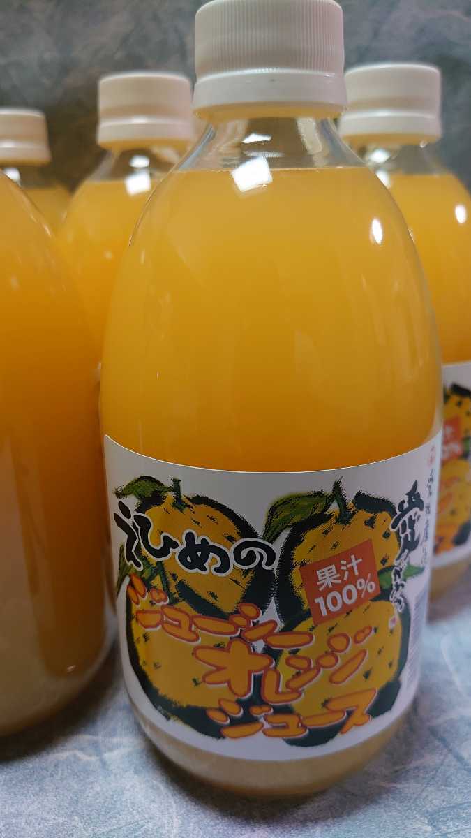 地元で人気のみかんジュースシリーズ！！愛媛県産河内晩柑(和製グレープフルーツ)500㎜×12本入り。少量希少価値あり。