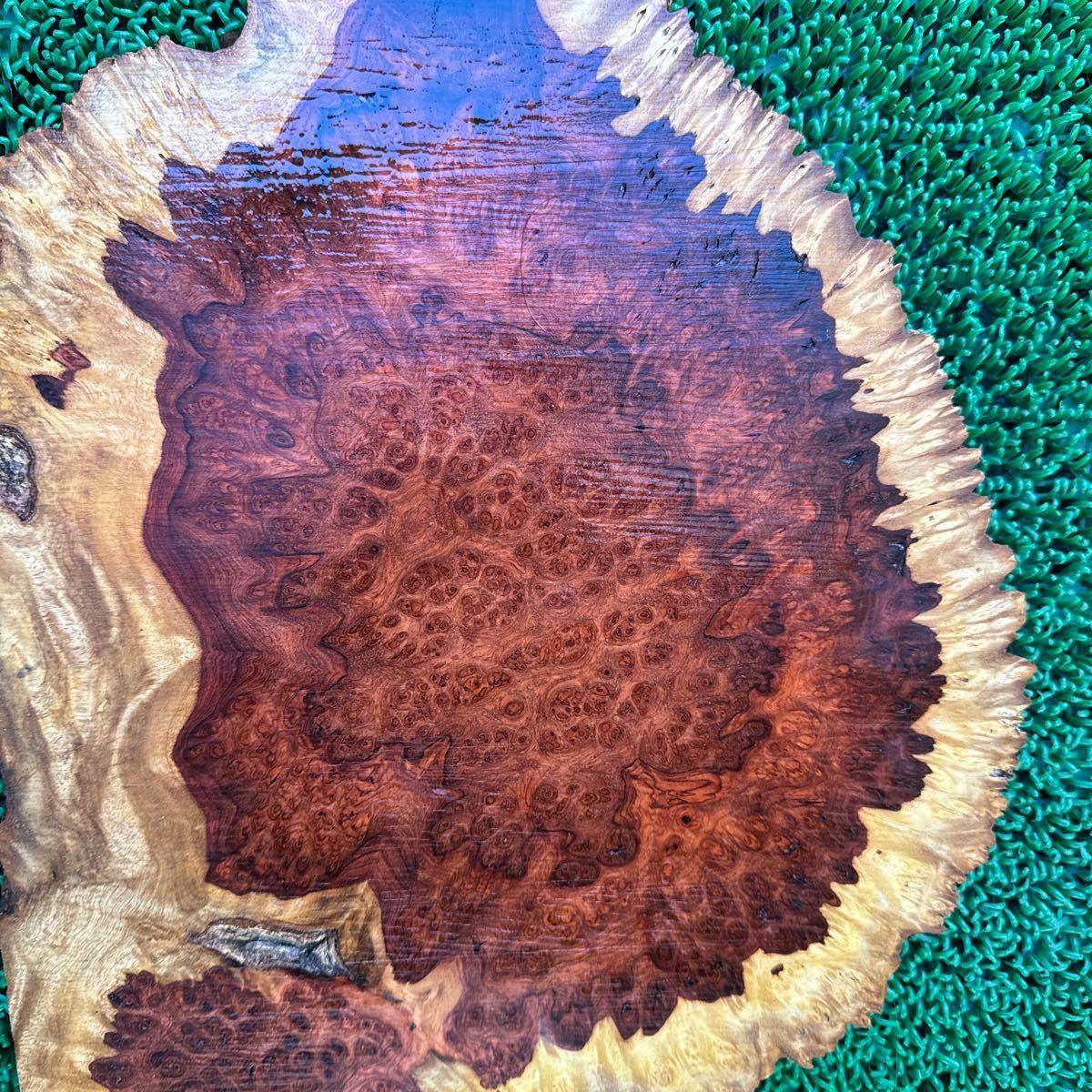  ① 超極上 花梨瘤 花梨紅白 大判板材 最長 37×26×2.5cm 1.5kg木材_画像10