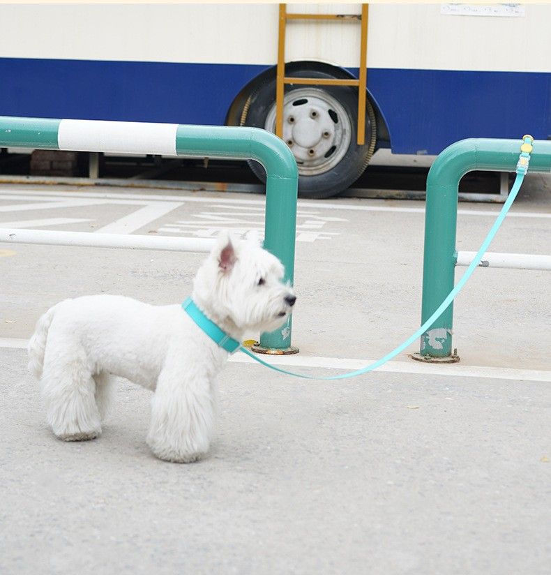 防水☆首輪＆カフェリードセット★XSサイズ★超小型犬★雨☆海☆山★スモーキーグレー