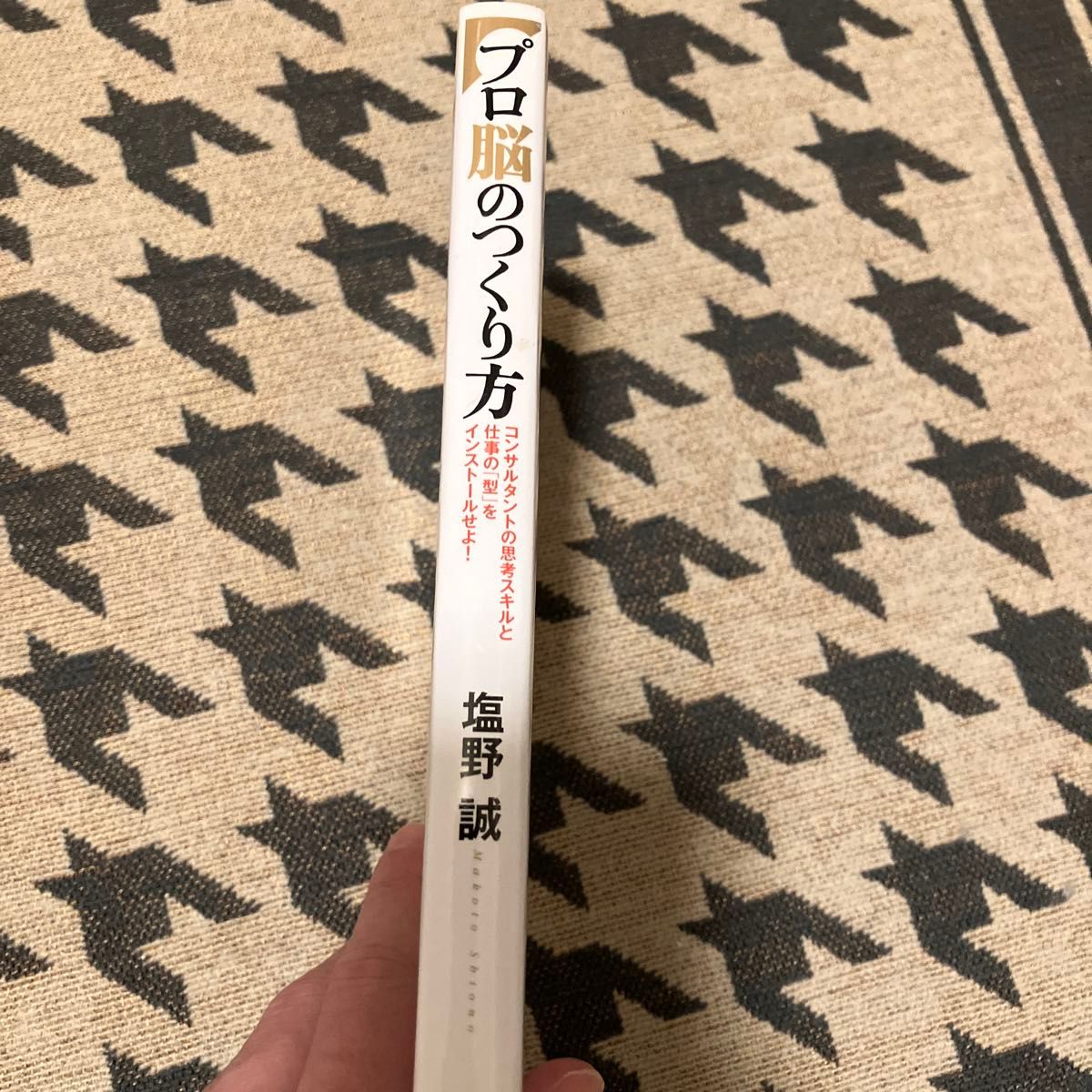 プロ脳のつくり方　コンサルタントの思考スキルと仕事の「型」をインストールせよ！ 塩野誠／著