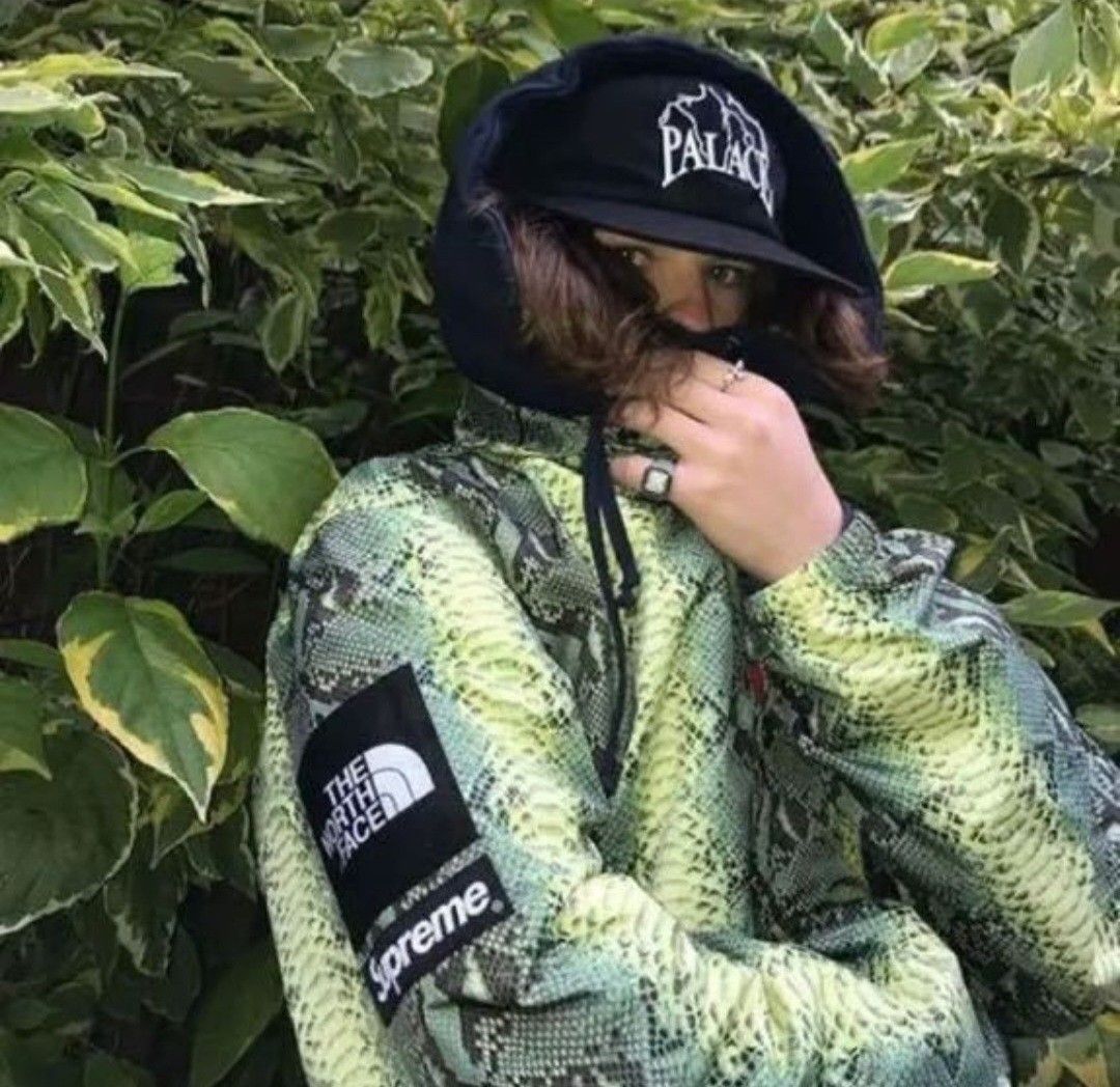 Supreme North Face Snakeskin Taped Seam Coaches Jacket Supreme North Face Snakeskin Taped Seam Coaches Jacket