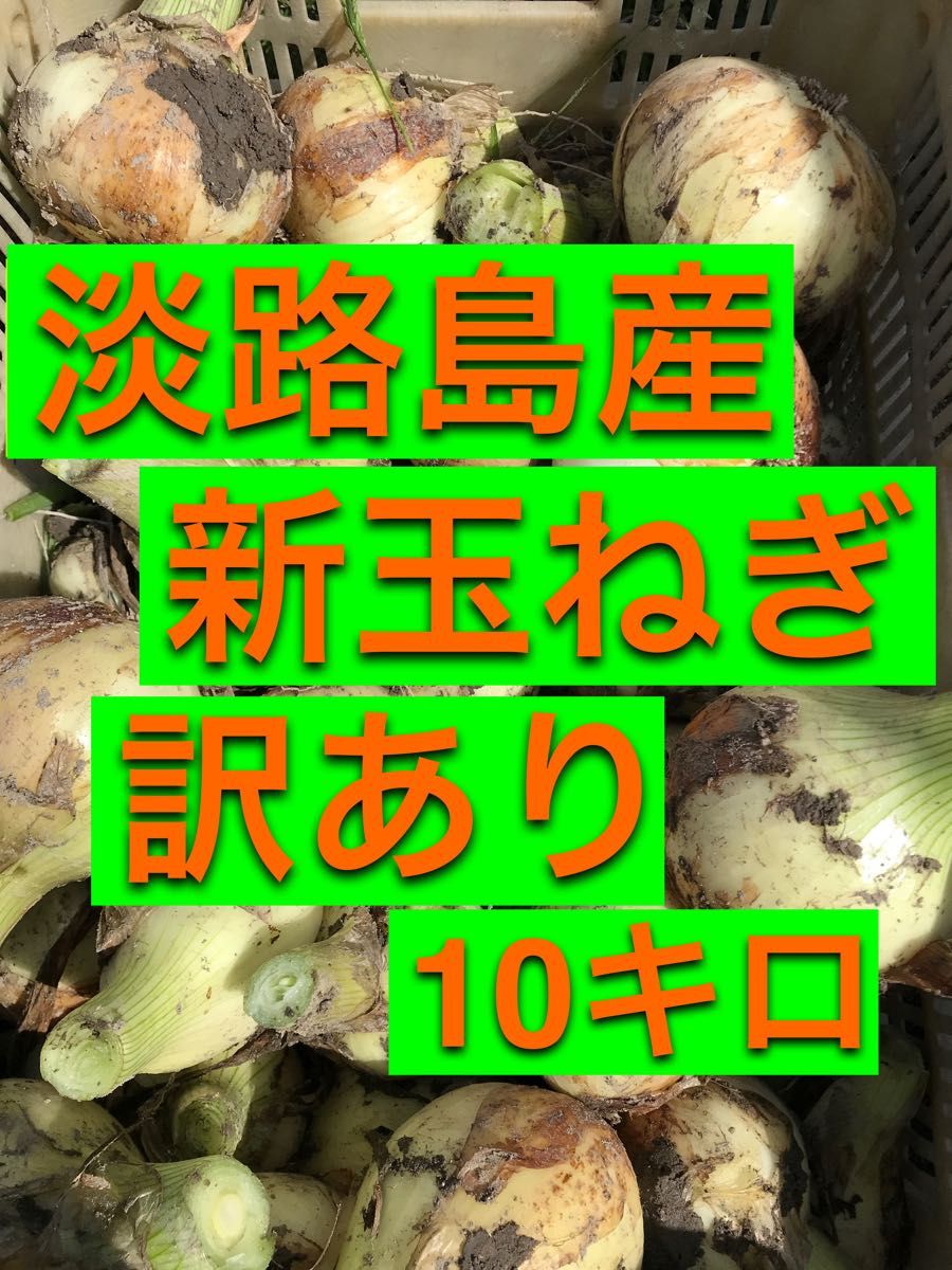 淡路島産　新玉ねぎ　訳あり　10kg