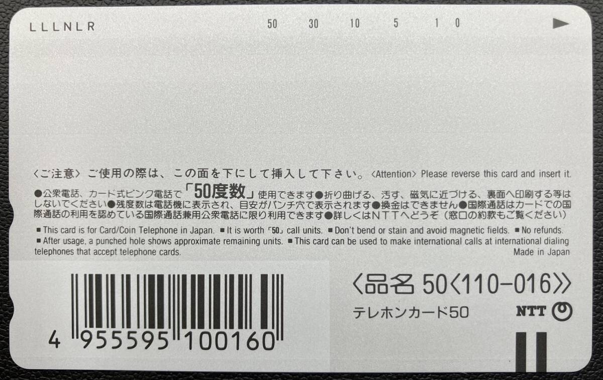 未使用！美品！ 池田あきこ わちふぃーるど ダヤンクラブカードNo.55 Dayan's Club Card No.55の画像2