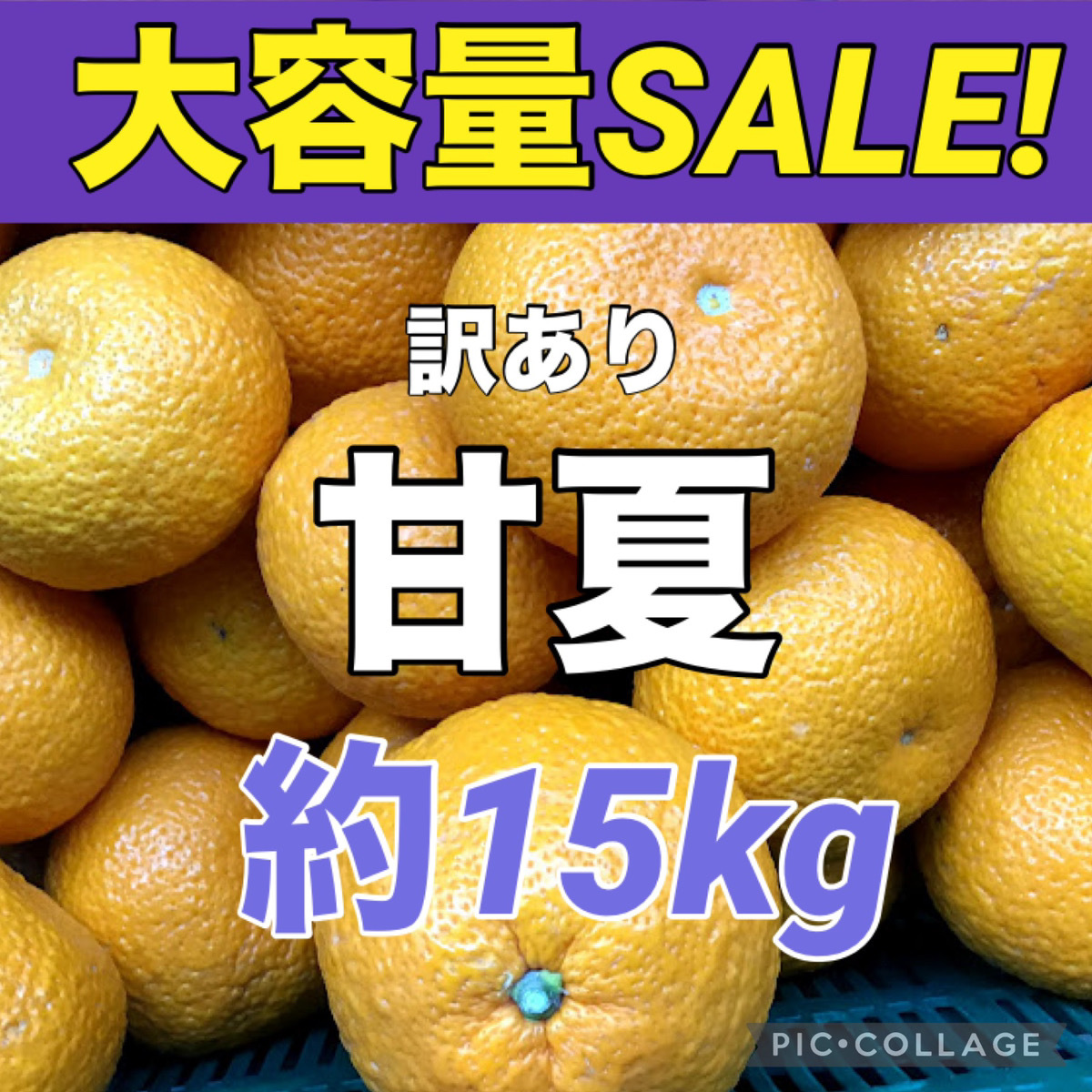 ②訳あり　甘夏　大容量！　箱込み重量約15kg　訳あり　　愛媛県産　柑橘　地域限定配送です　商品説明お読みください_画像1