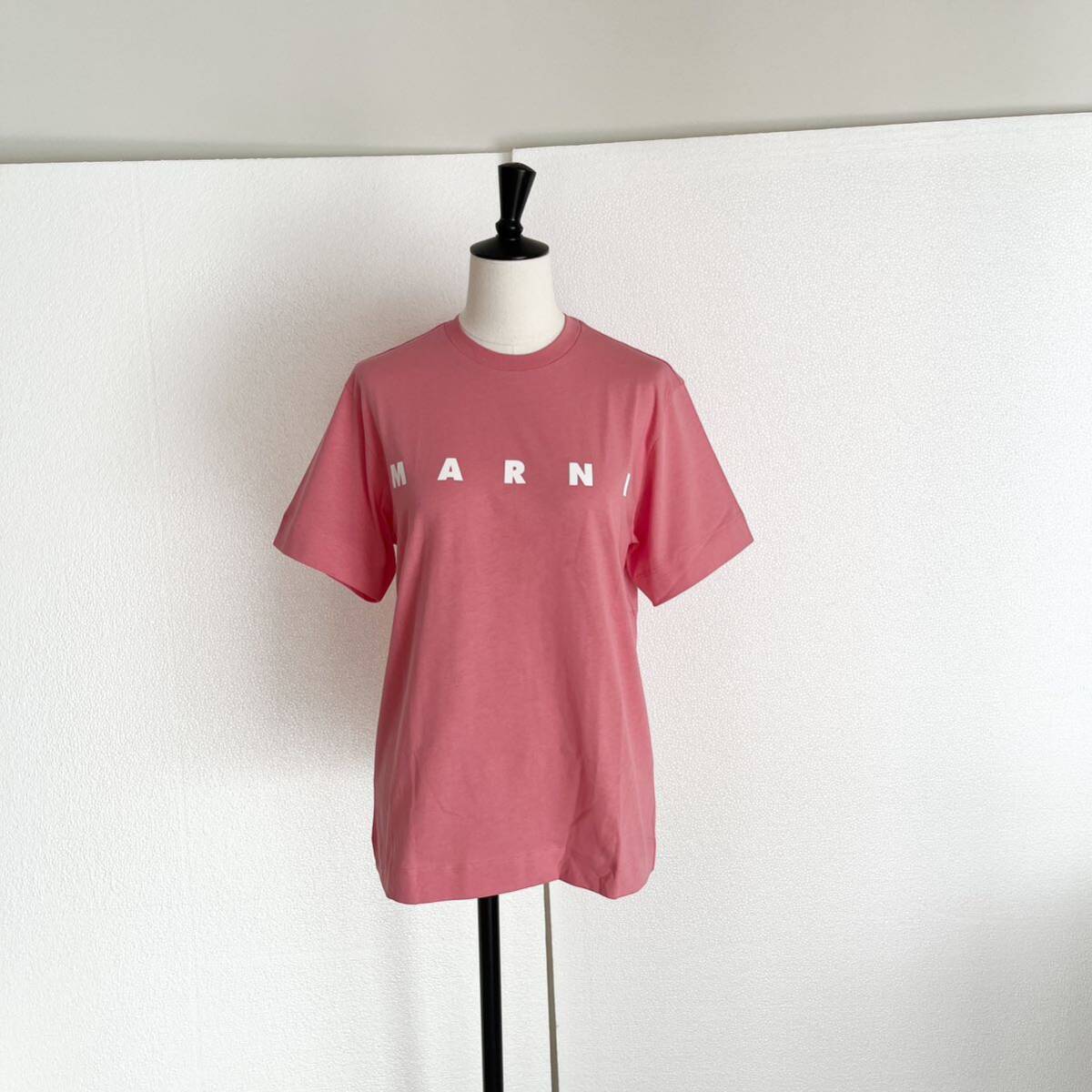 MARNI マルニ ロゴ入り半袖Tシャツ カットソー XSサイズ ピンクの画像6
