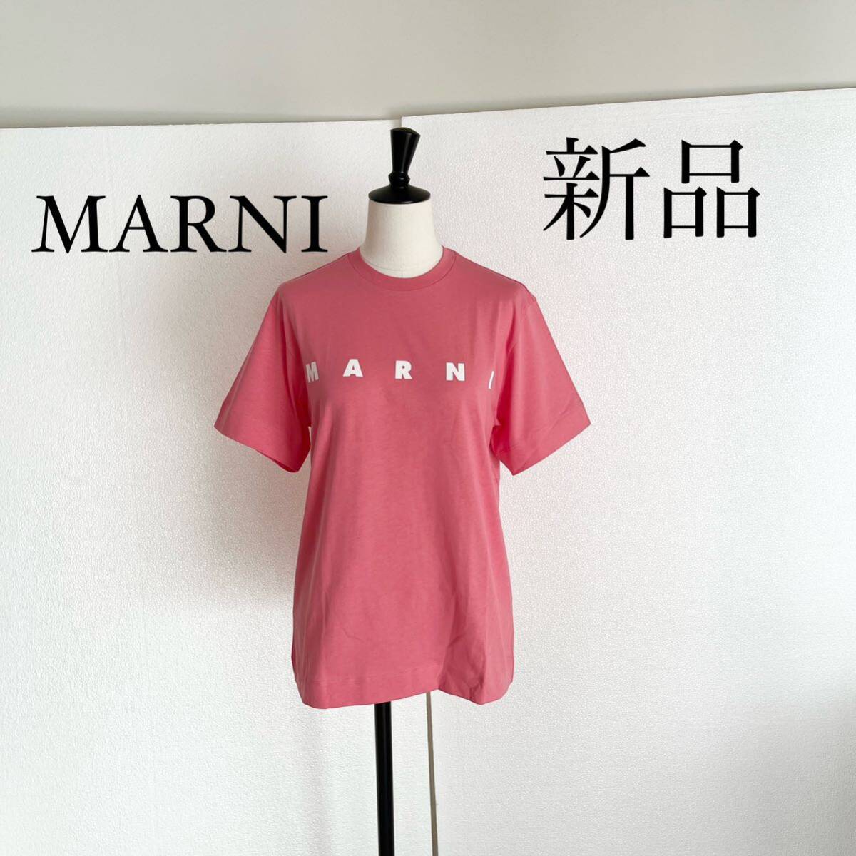 MARNI マルニ ロゴ入り半袖Tシャツ カットソー XSサイズ ピンクの画像1