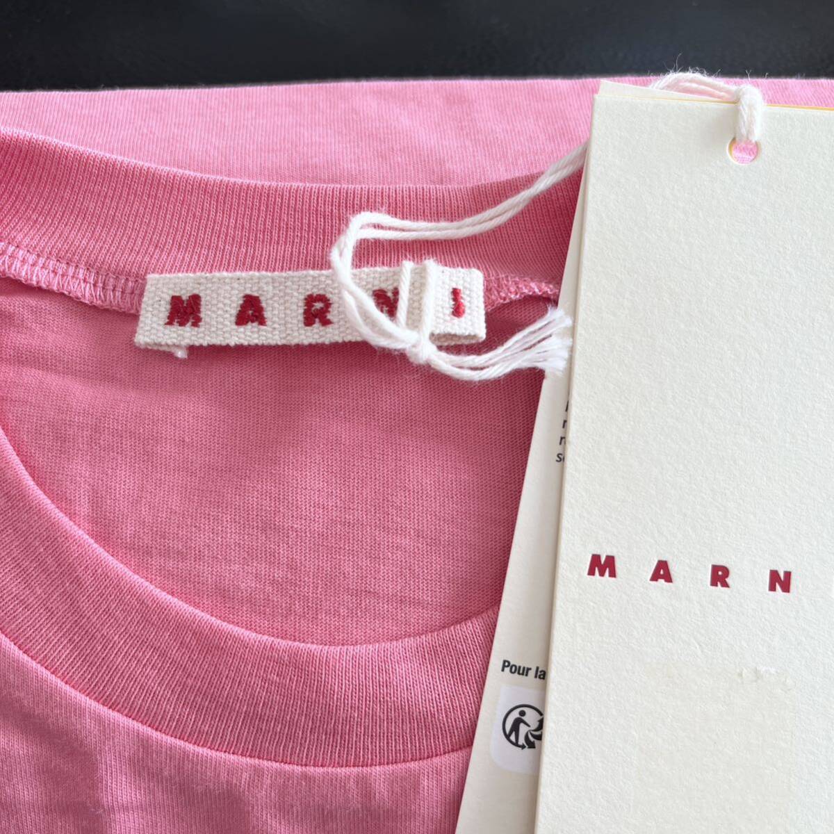 MARNI マルニ ロゴ入り半袖Tシャツ カットソー XSサイズ ピンクの画像4