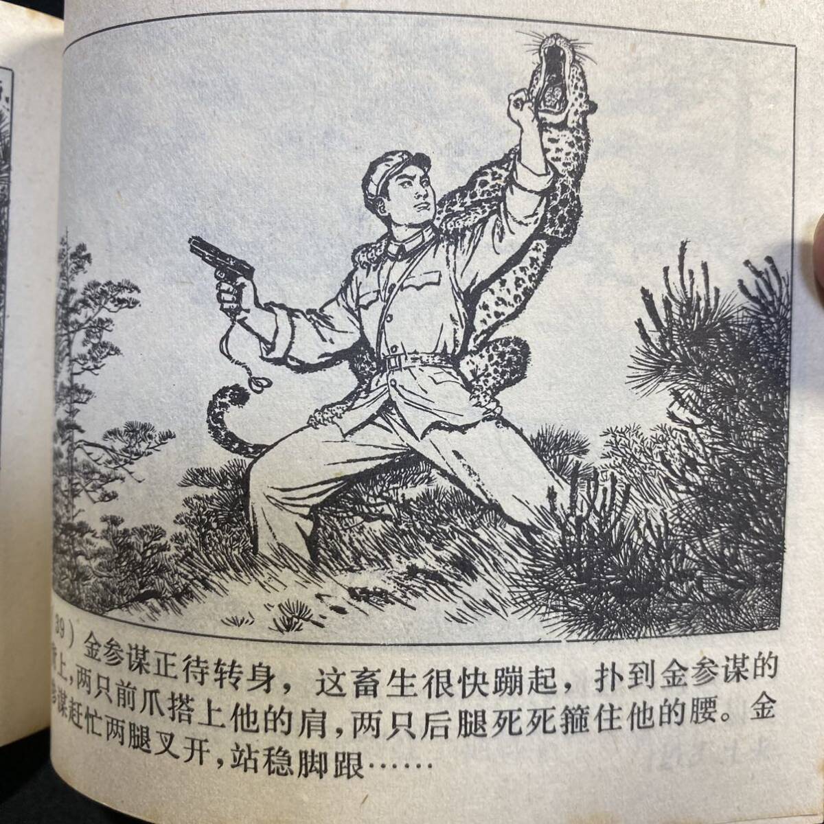 連環画 上海人民出版社「打豹記」1974年 毛亮英 唐本 漢籍 漫画 中国人民解放軍の画像5