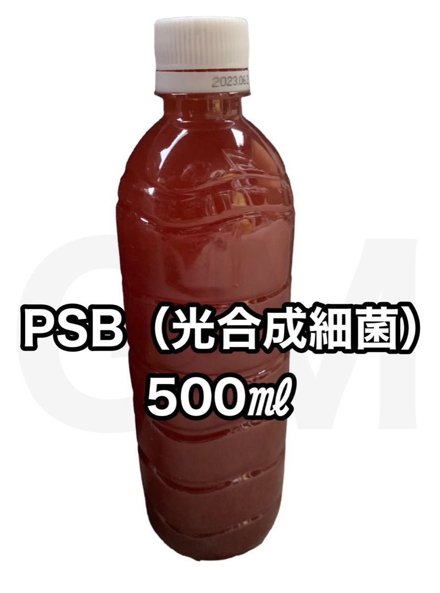 【GMめだか】PSB 光合成細菌 500ml 水質安定改善 バクテリアメダカ 針子　稚魚 生き餌 ミジンコ