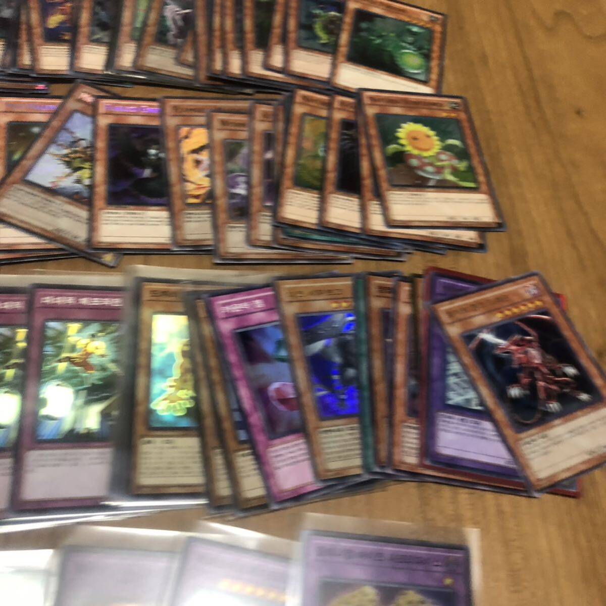 遊戯王 英語版 韓国版 250枚以上 大量まとめ売り スーパーレア 遊戯王 英語版 韓国版 250枚以上 大量まとめ売り スーパーレア