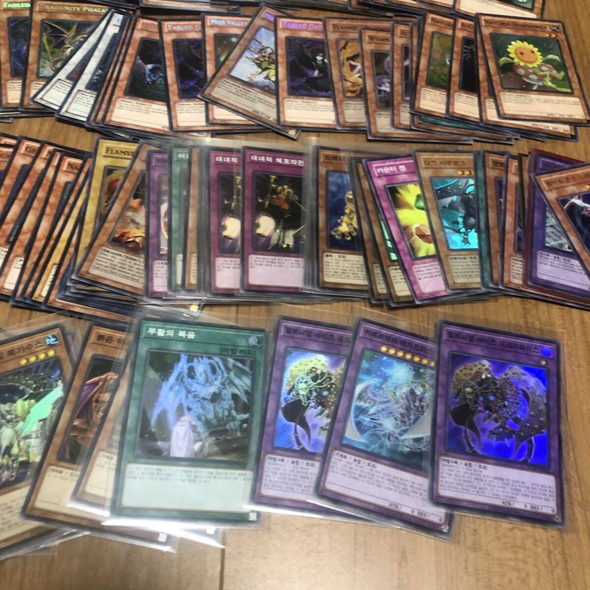 遊戯王 英語版 韓国版 250枚以上 大量まとめ売り スーパーレア 遊戯王 英語版 韓国版 250枚以上 大量まとめ売り スーパーレア