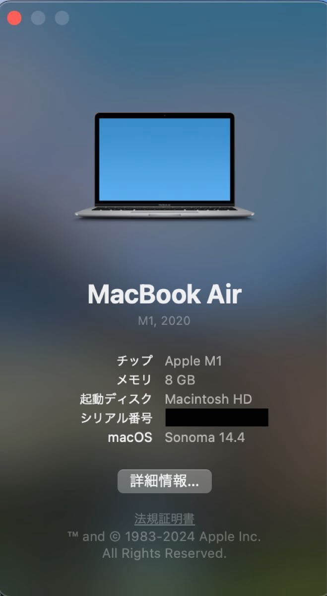 Apple MacBook Air (M1 2020) 13inch MGN63JA/A 256GB 8GBメモリ US配列