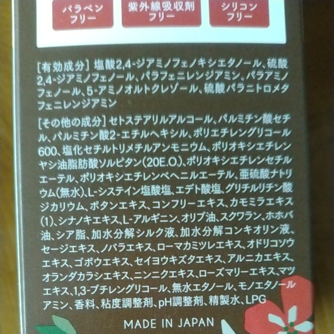 エールボーテ ヘアカラームース 白髪染め 泡タイプ 脱色剤フリー 医薬部外品 2個/80g  ダークブラウン