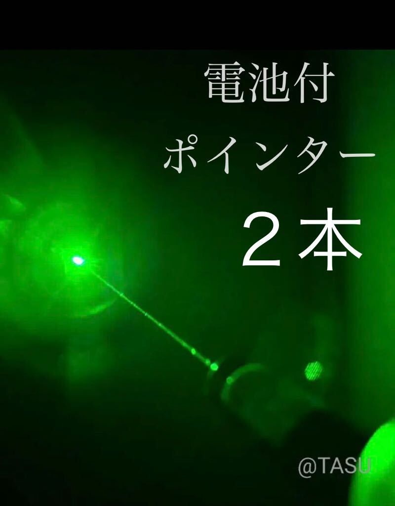 【電池付き】LEDライト ポインタ 緑 ２本 強力 カラス駆除 グリーン の画像1