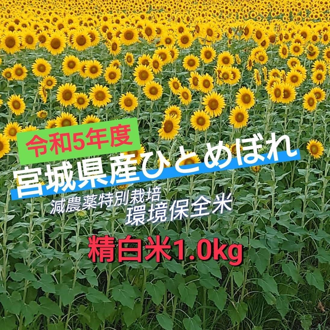 令和5年宮城県産ひとめぼれ【精白米1.0kg】減農薬特別栽培環境保全米