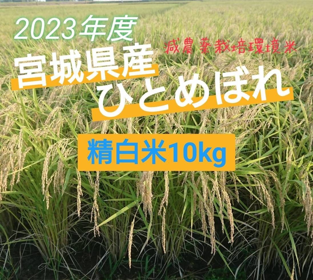 『精白米10kg』令和5年度宮城県産ひとめぼれ【環境保全米】