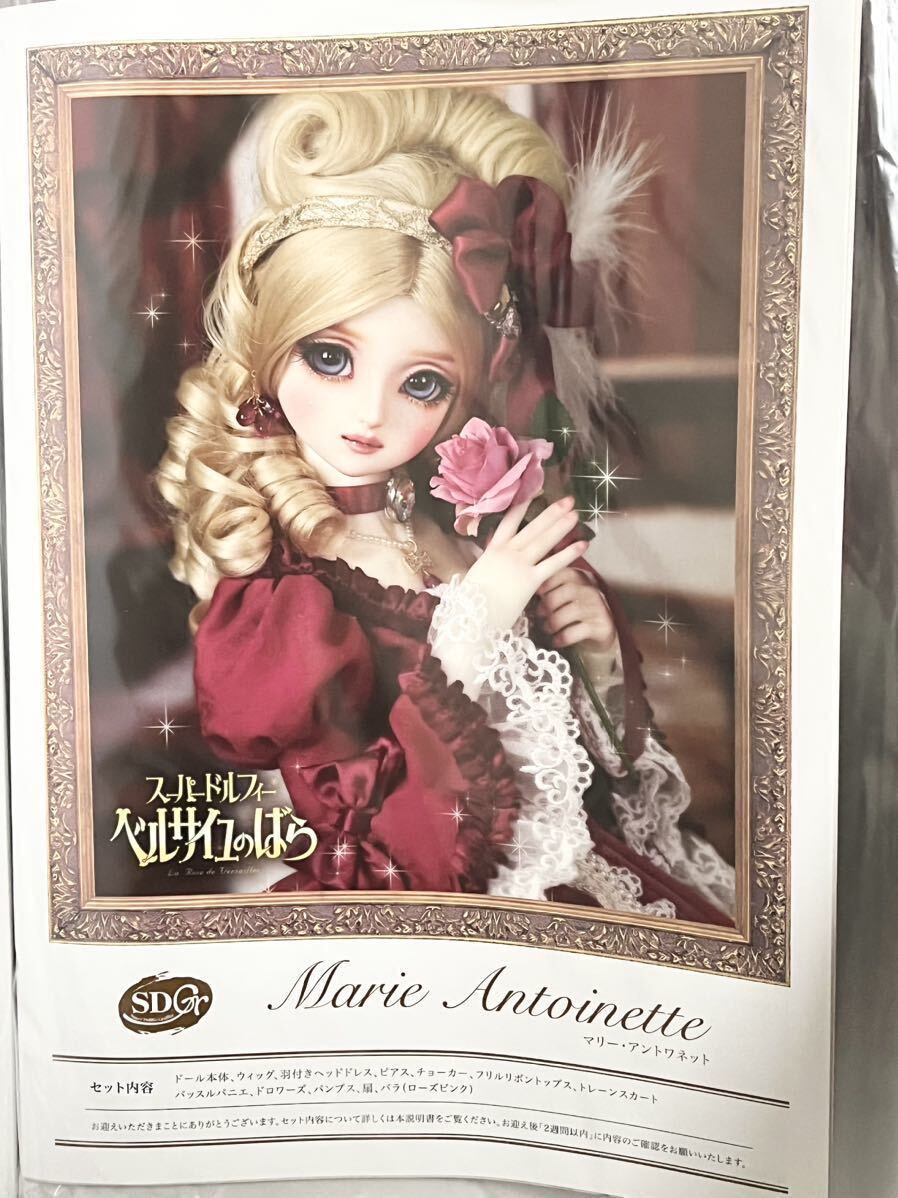 ボークス SDGr女の子 マリー・アントワネット Marie Antoinette スーパードルフィー Super Dollfie SD ベルサイユのばら 衣装 フルセット_画像8