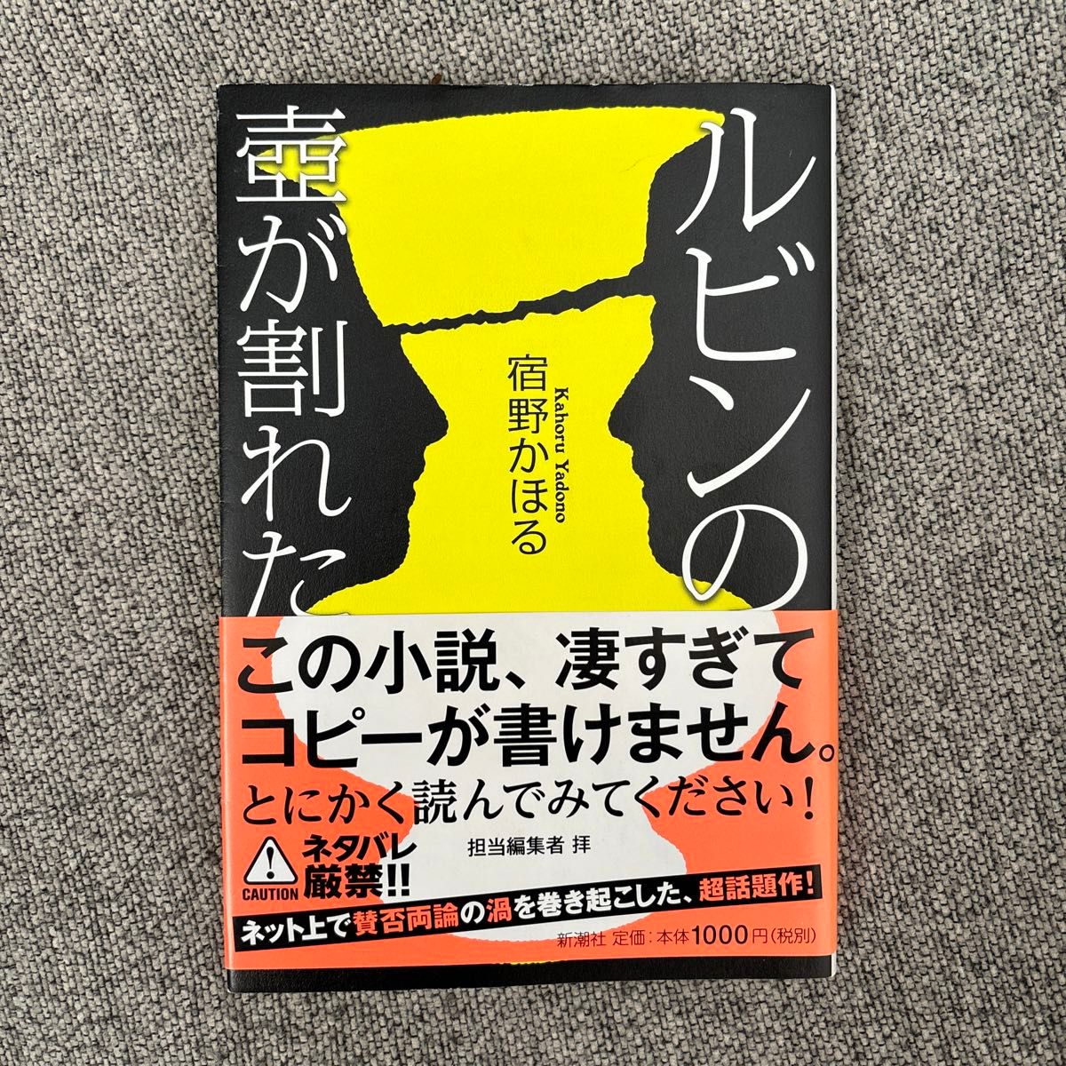 ルビンの壺が割れた 宿野かほる／著