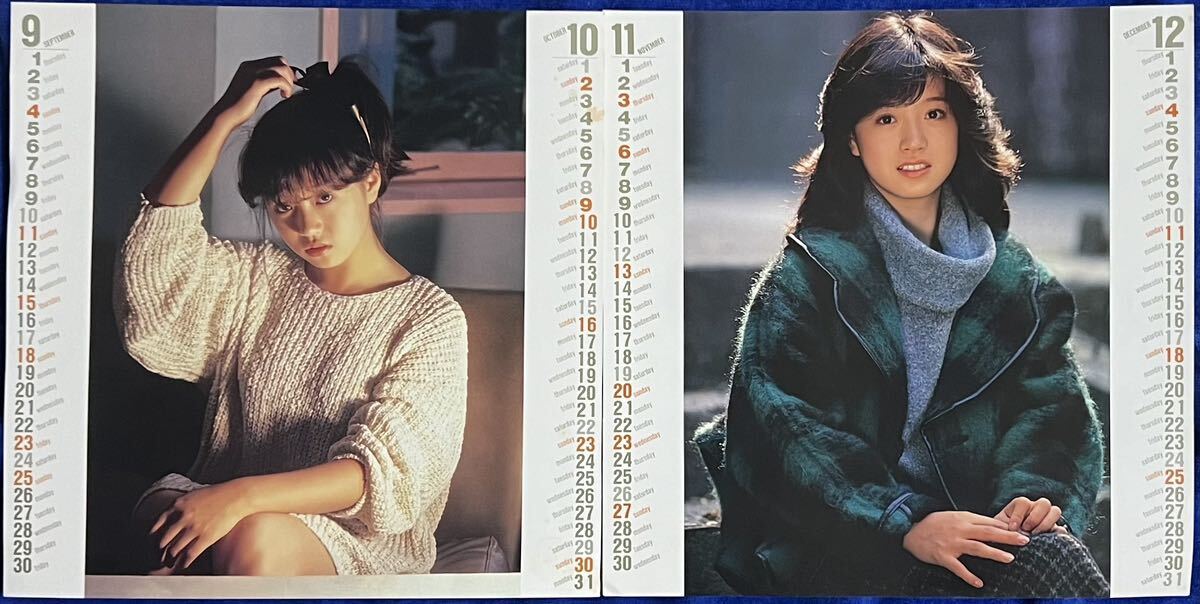 中森明菜  カレンダー １９８３年（1～12月全て揃っております） ピンナップ ミニポスター の画像2
