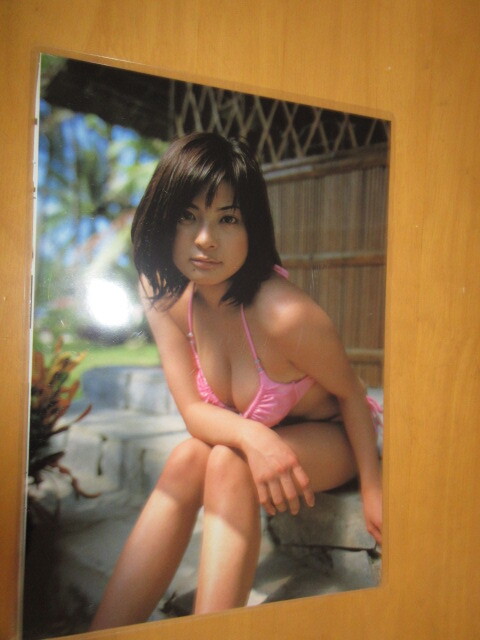  gravure .. pulling out [L] scraps photograph 2 sheets table reverse side . laminate ×30 sheets =60 sheets B5 size 