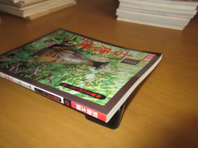 別冊太陽　骨董をたのしむー37　　野育ちなれど格高し　古唐津　　出川直樹構成・文　　2001年8月　　平凡社_画像10