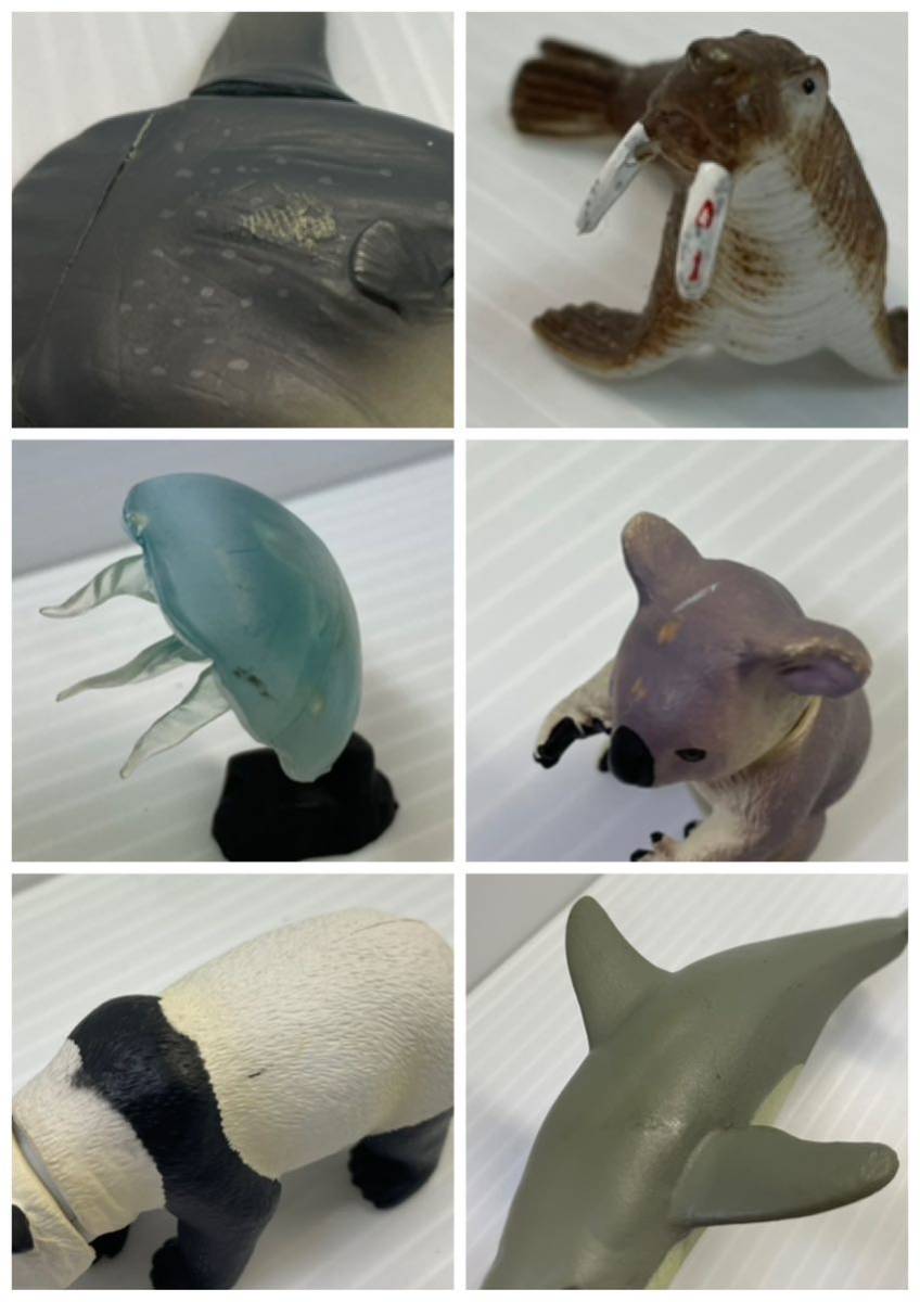 N311【ジャンク】アニア チョコエッグなど 動物 海洋生物 フィギュア 日本の動物コレクション タカラトミー 海洋堂 60個以上_画像9