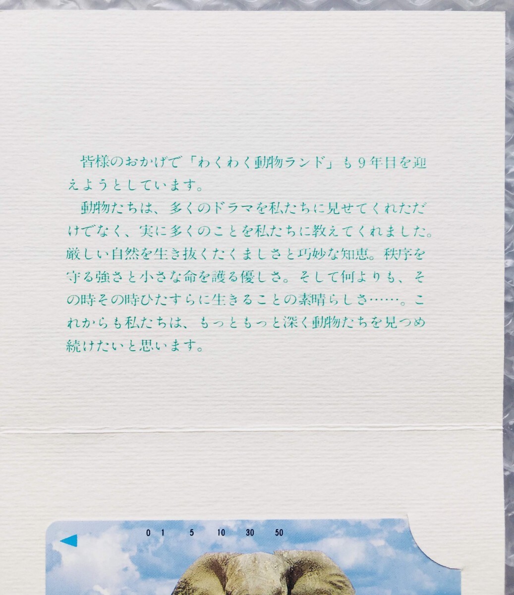 新品 未使用 非売品 わくわく動物ランド【テレホンカード１枚】台紙付き 9年目記念 アフリカゾウの画像3