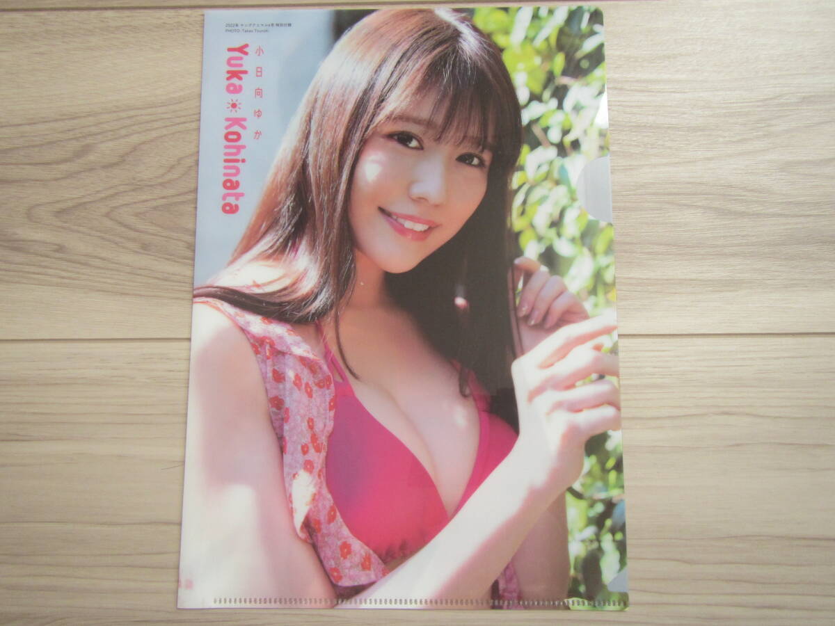 [E-02] small Hyuga city ..B5 clear file bikini model goods stationery * including in a package possible 