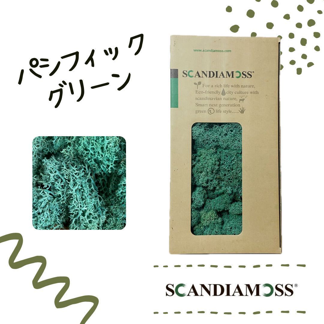 スカンディアモス SCANDIAMOSS パシフィックグリーン50ｇ ディスプレイ 苔 モス 緑色 天然素材 脱臭効果の画像1