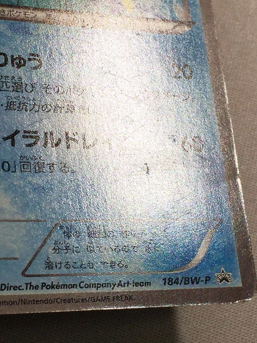 【1円～】【184/BW-P P】シャワーズ [コレクションファイル イーブイコレクション] ポケモンカード ポケカ_画像9