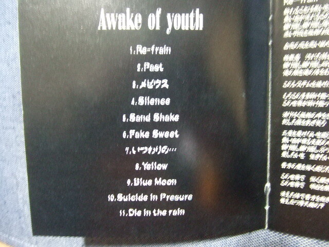 3CD【V系】Media Youth (メディア・ユース)★AWAKE OF YOUTH(インディーズ)/スピリット/他　送料160円★_画像4