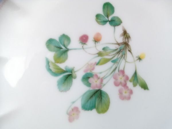 16CM 美品◇自宅保管 ノリタケ フローラルビラ プレート NORITAKE floral villa B_画像2