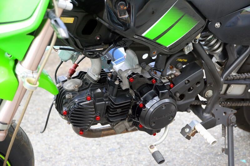 Kawasaki KSR110 2008年モデル ミニモト 色々触られててかなりの美品！の画像10