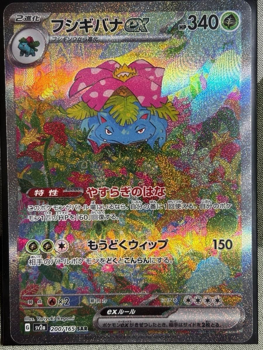 ポケモンカード 151進化系3枚 フシギバナex SAR&フシギダネ ポケモンカード 151進化系3枚 フシギバナex SAR&フシギダネ
