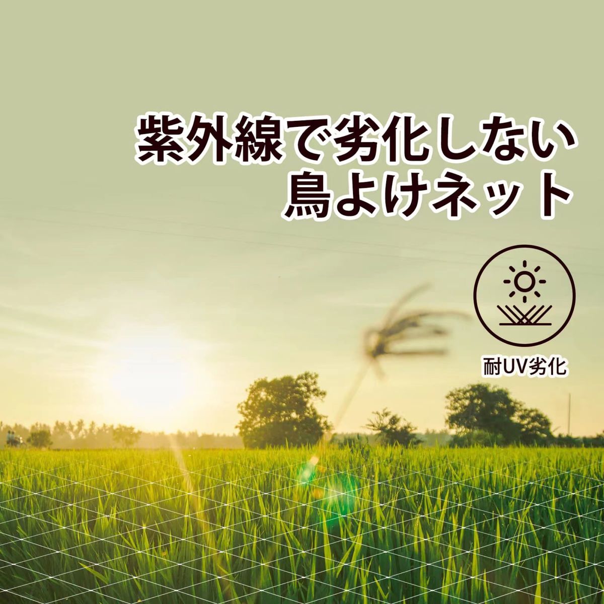 強力防鳥ネット 100％ナイロン採用で寿命・強度10倍上げた鳥よけネット 幅5ｍ×長さ10m 家庭菜園 果樹園 ブルーベリー栽培