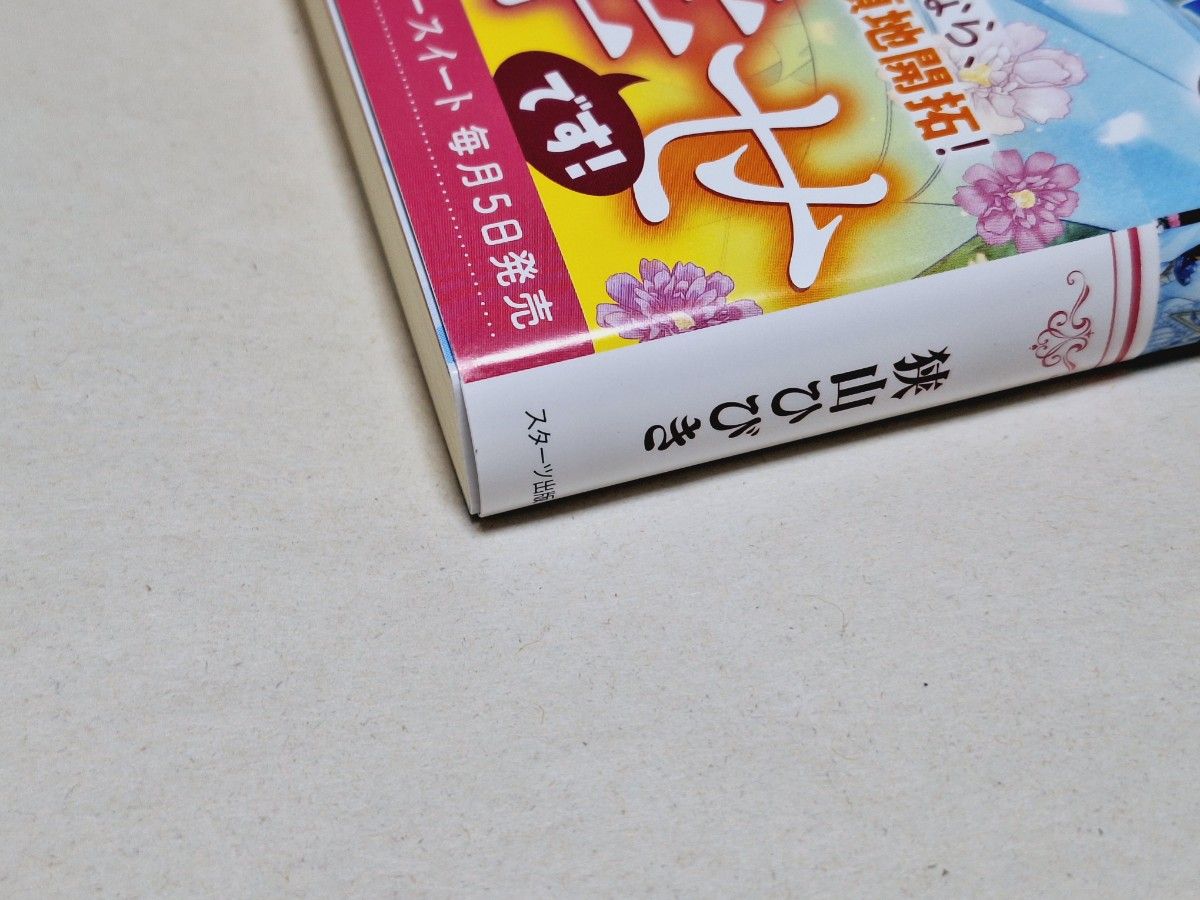 「一族の恥」と呼ばれた令嬢。この度めでたく捨てられたので、辺境で自由に暮らします　実は私が聖女なんですが、セカンドライフを～