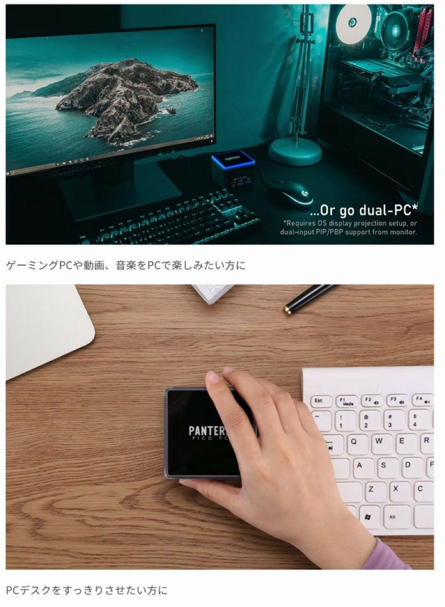 mini PC 手のひらサイズのデスクトップ ポケットに入る世界最小級PC Pantera 256GB パソコン 小さい 持ち運び