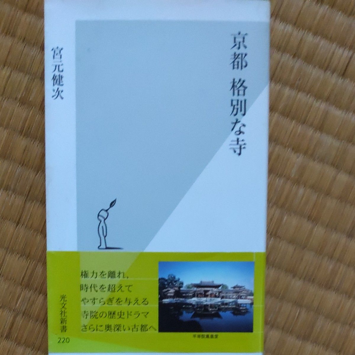 京都格別な寺 （光文社新書　２２０） 宮元健次／著